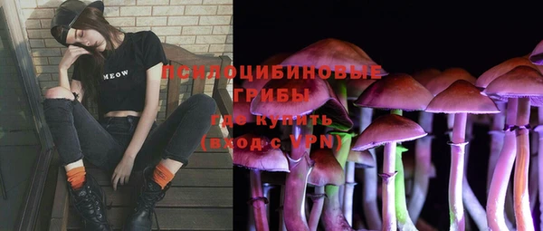 винт Аркадак