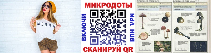 Псилоцибиновые грибы Cubensis  купить   Оханск 